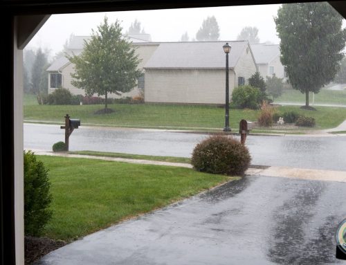 What Does New Garage Door Installation Really Cost in Lynnwood? A Local Technician’s Honest Breakdown